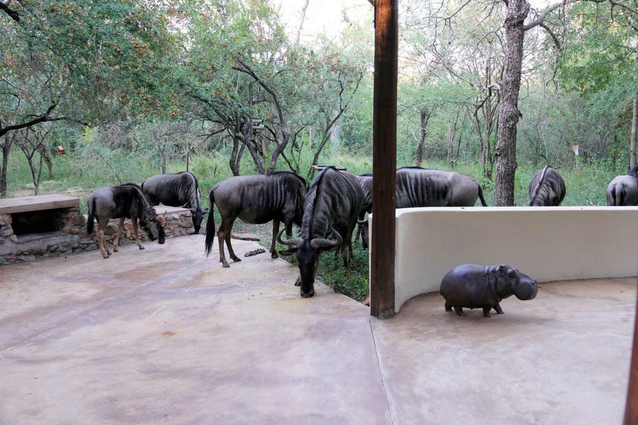 Treetops Marloth Park Exterior foto